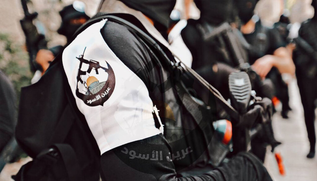 من جنين إلى نابلس: انبعاث المقاومة المنظمة
