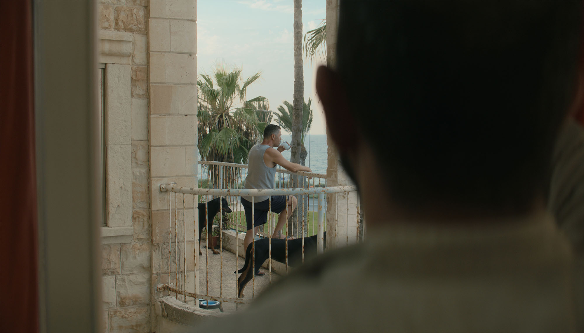 فيلم حُمّى البحر المُتوسط: الاغتراب بطلًا