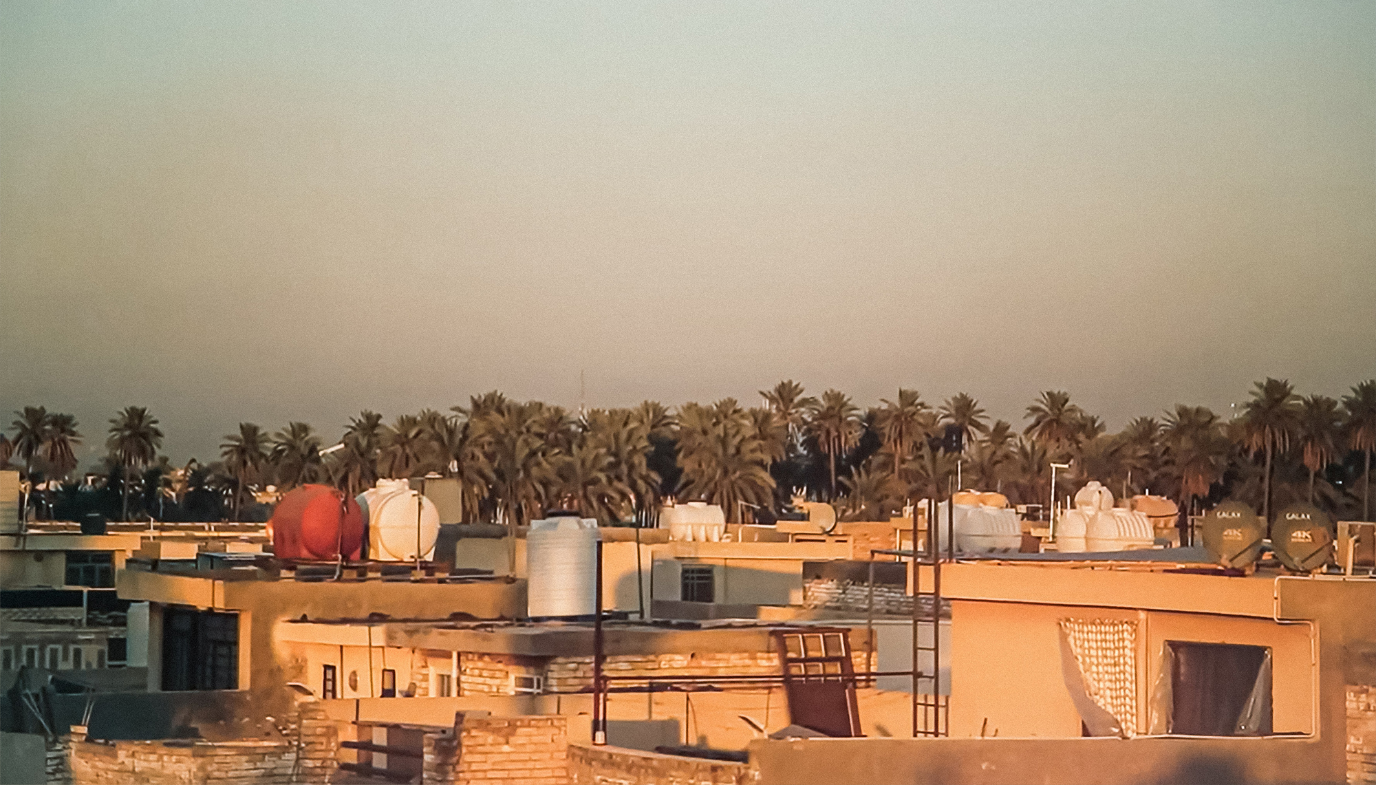 رحلة الحزام الأخضر لبغداد من الغابات إلى العشوائيات